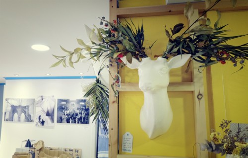 Decoración con animales. Regalos originales. 
